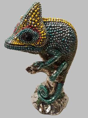 CHAMELEON- Blue & Yellow