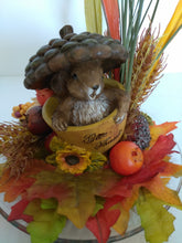 FALL SQUIRREL - Joyfull