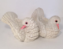 WHITE-Doves