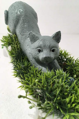 SLUMBER- Stretching Cat